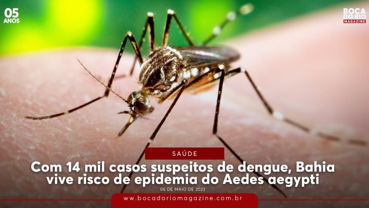 Com 14 mil casos suspeitos de dengue, Bahia vive risco de epidemia do Aedes aegypti