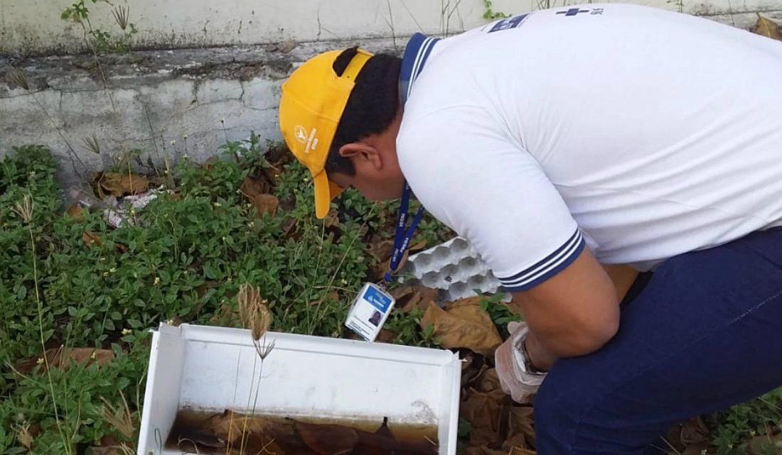 Salvador recebe armadilhas contra o Aedes aegypti em pontos estratégicos