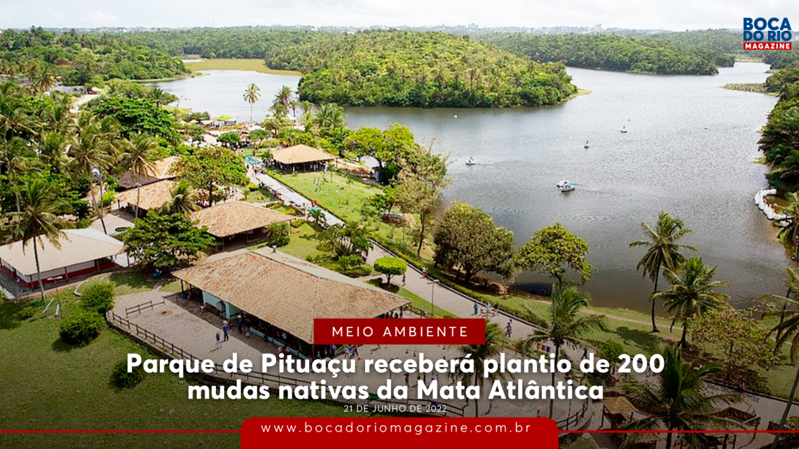 Parque de Pituaçu receberá plantio de 200 mudas nativas da Mata Atlântica; entenda