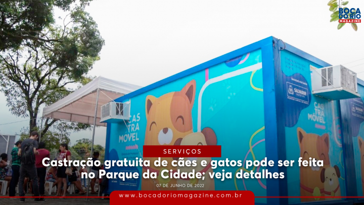 Castração gratuita de cães e gatos pode ser feita no Parque da Cidade; veja detalhes