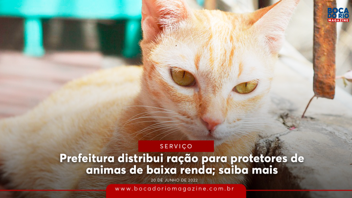 Prefeitura distribui ração para protetores de animais de baixa renda; saiba mais