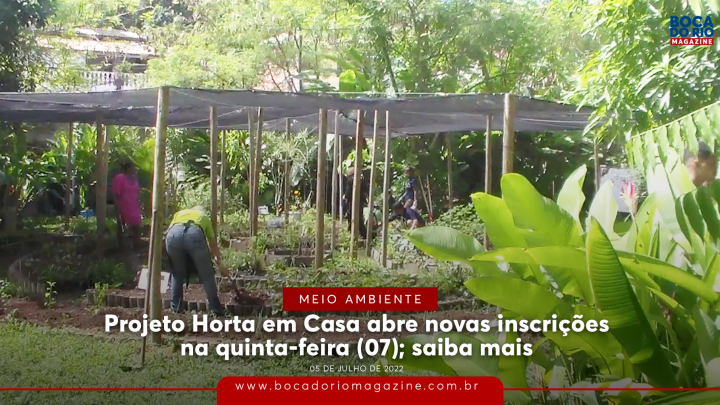 Projeto ‘Horta em Casa’ abre novas inscrições na quinta (7); saiba mais