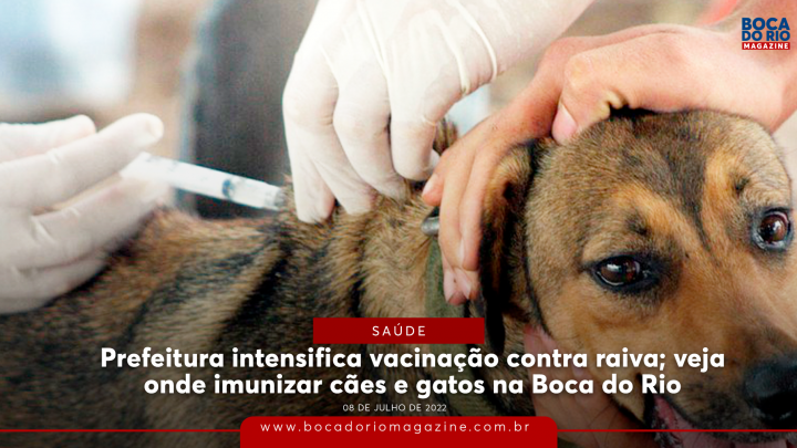 Prefeitura intensifica vacinação contra raiva; veja onde imunizar cães e gatos na Boca do Rio