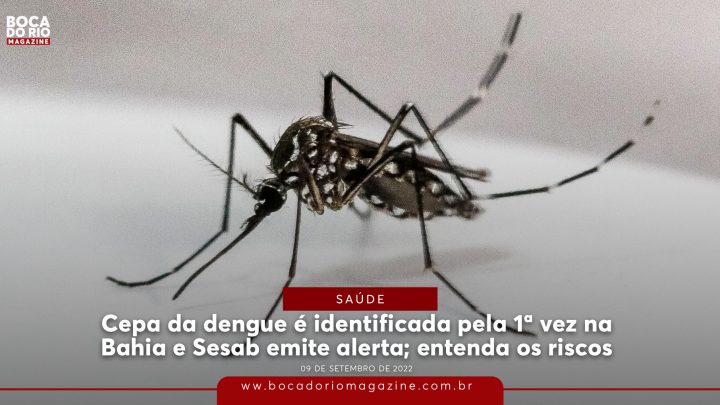 Cepa da dengue é identificada pela 1ª vez na Bahia e Sesab emite alerta; entenda os riscos