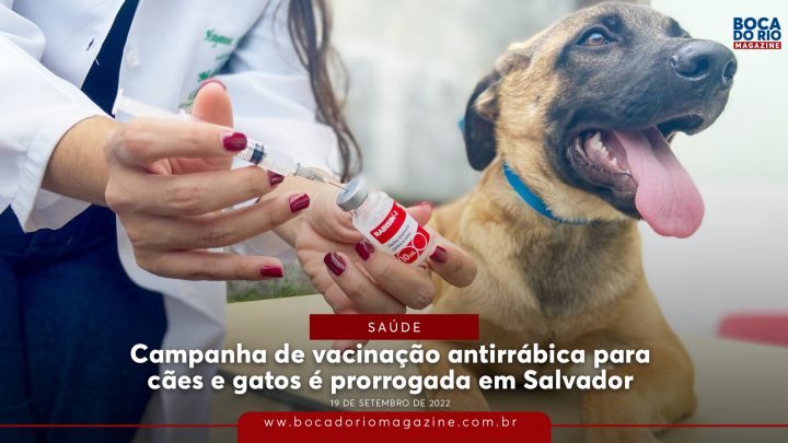 Campanha de vacinação antirrábica para cães e gatos é prorrogada em Salvador