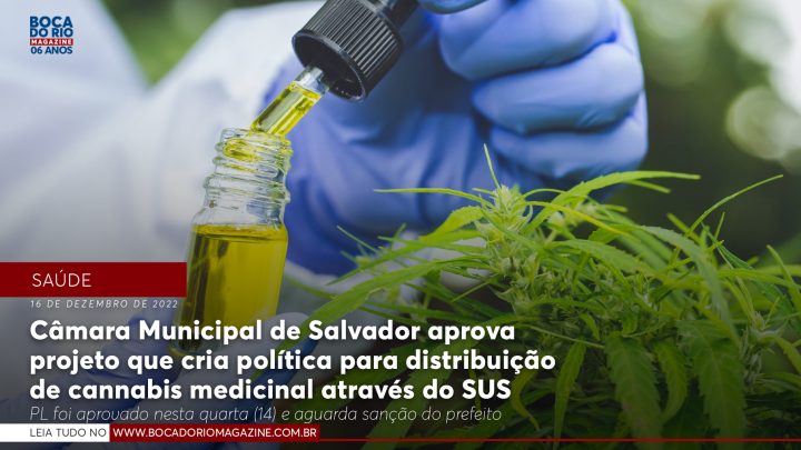 Câmara Municipal de Salvador aprova projeto que cria política para distribuição de cannabis medicinal através do SUS