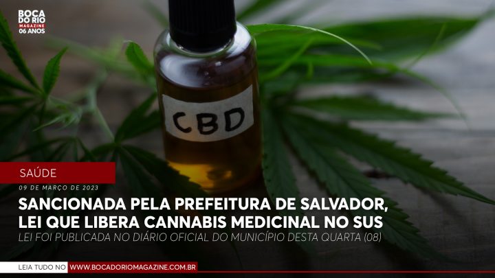 Sancionada pela Prefeitura de Salvador, lei que libera cannabis medicinal no SUS