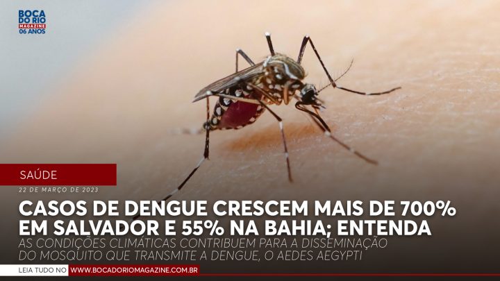 Casos de dengue crescem mais de 700% em Salvador e 55% na Bahia; entenda