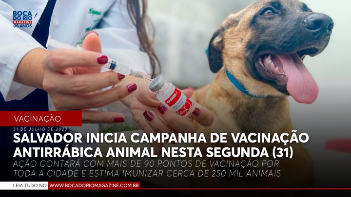 Salvador inicia campanha de vacinação antirrábica animal nesta segunda (31)