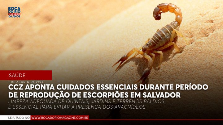 Centro de Controle de Zoonoses aponta cuidados essenciais durante período de reprodução de escorpiões em Salvador
