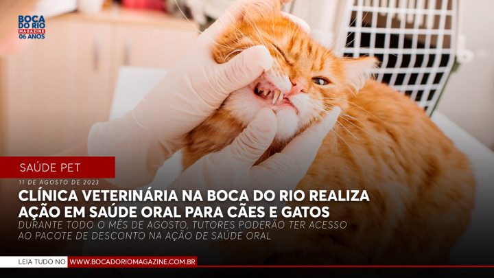 Clínica veterinária na Boca do Rio realiza ação em saúde oral para cães e gatos