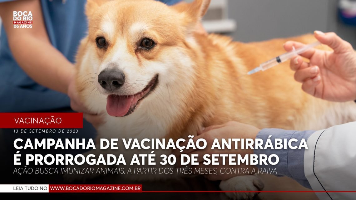 Campanha de vacinação antirrábica é prorrogada até 30 de setembro Campanha de vacinação antirrábica é prorrogada até 30 de setembro