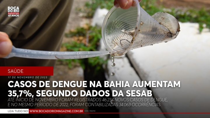 Casos de dengue na Bahia aumentam 35,7%, segundo dados da Sesab