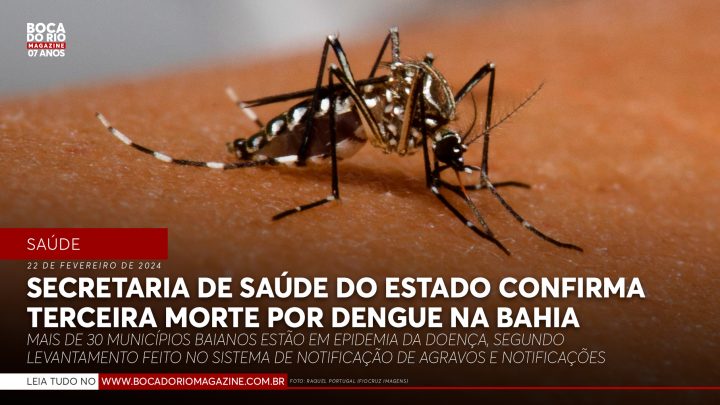 Secretaria de Saúde do Estado confirma terceira morte por dengue na Bahia