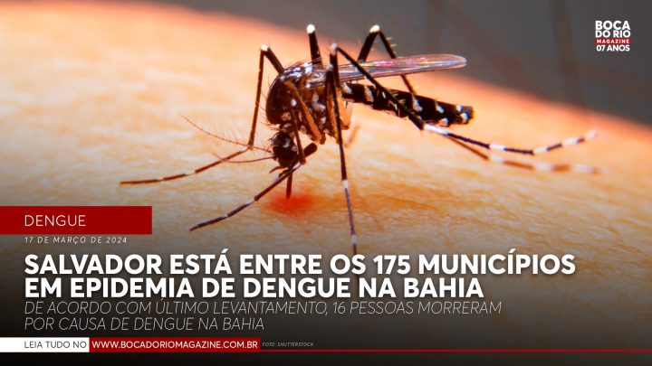 Salvador está entre os 175 municípios em epidemia de dengue na Bahia
