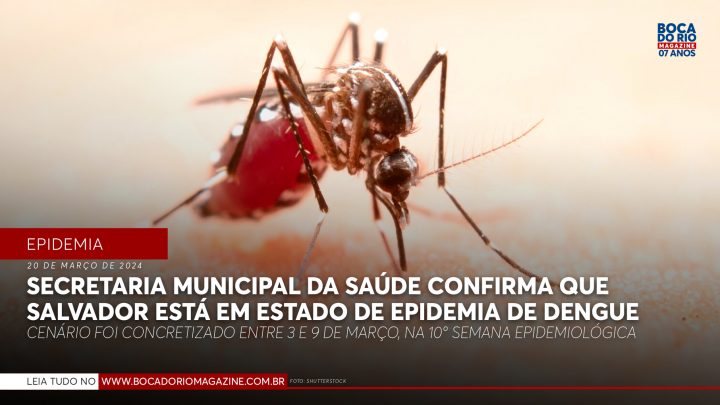 Secretaria Municipal da Saúde confirma que Salvador está em estado de epidemia de Dengue