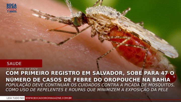 Com primeiro registro em Salvador, sobe para 47 o número de casos de Febre do Oropouche na Bahia