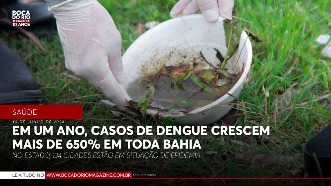 Em um ano, casos de dengue crescem mais de 650% em toda Bahia