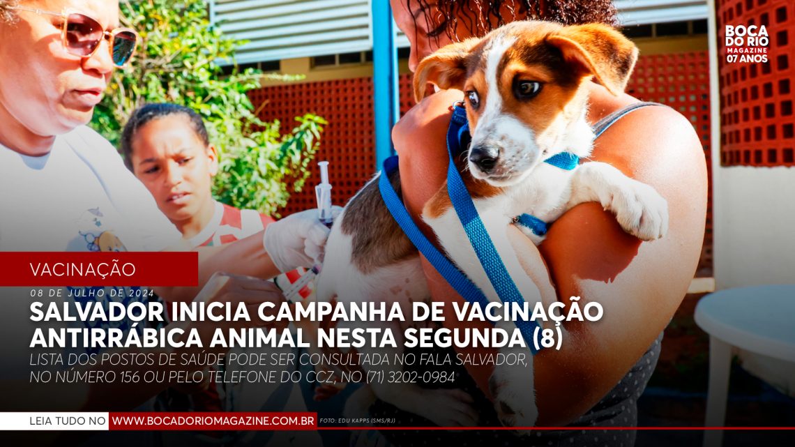 Salvador inicia campanha de vacinação antirrábica animal nesta segunda (8)