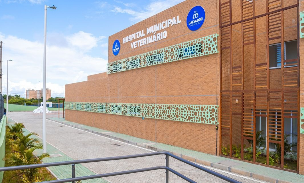 Hospital Veterinário de Salvador realiza mutirão de agendamento para castração de cães e gatos