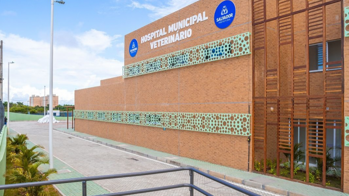 Hospital Veterinário de Salvador realiza mutirão de agendamento para castração de cães e gatos