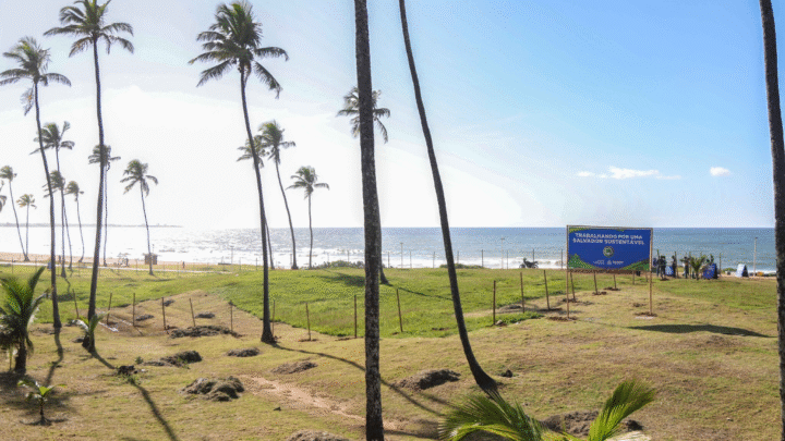 Previsão do tempo para este domingo (26) aponta sol forte e poucas nuvens em Salvador