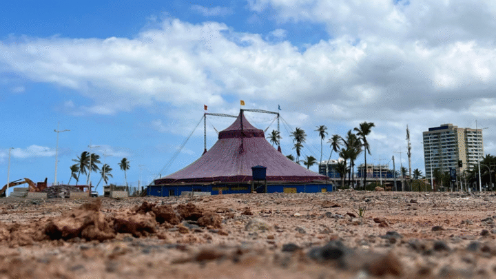 Circo Picolino celebra 40 anos com o Festival Internacional Viva o Circo Ano XL em Salvador