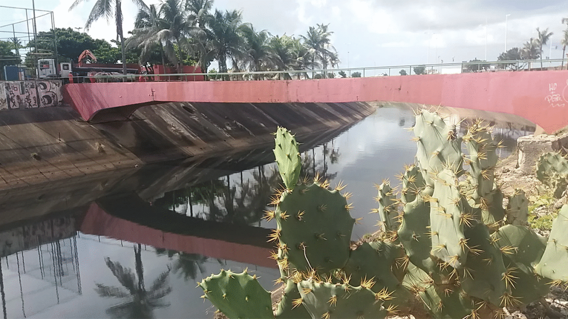 Governo da Bahia autoriza desapropriações para obras no Rio Camarajipe