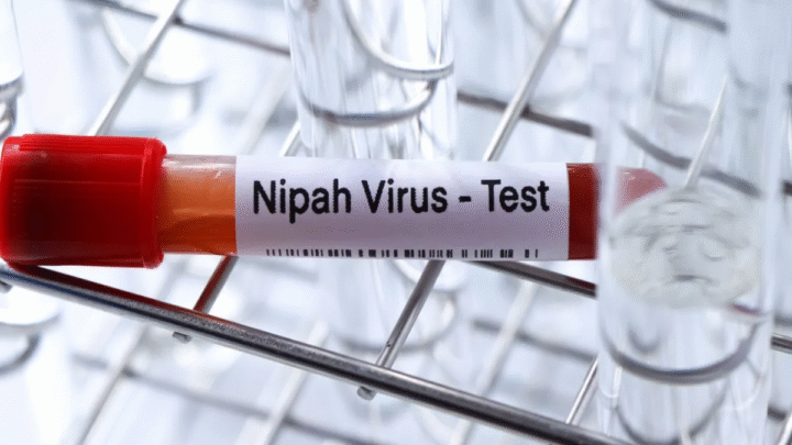 Ministério da Saúde emite alerta sobre Vírus Nipah após novos casos na Índia