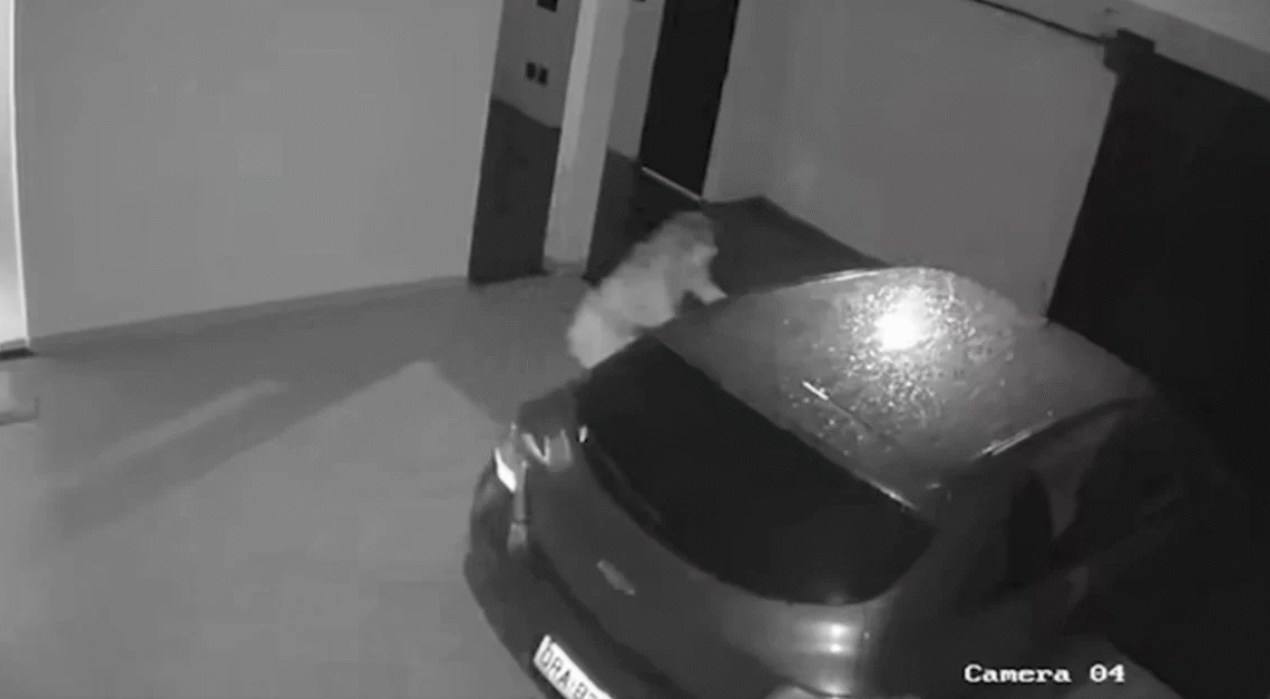 Carro “anda sozinho”, derruba portão e dona decide vender o veículo: “Com espírito e tudo”