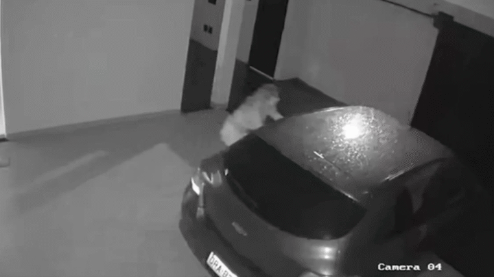 Carro “anda sozinho”, derruba portão e dona decide vender o veículo: “Com espírito e tudo”