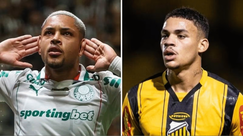 Saiba onde assistir Palmeiras x Novorizontino ao vivo hoje (04/03) pela final do Paulistão. TV Leste/Record transmite a partir das 19h45 com Cleber Machado.