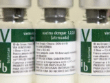 vacina contra a dengue