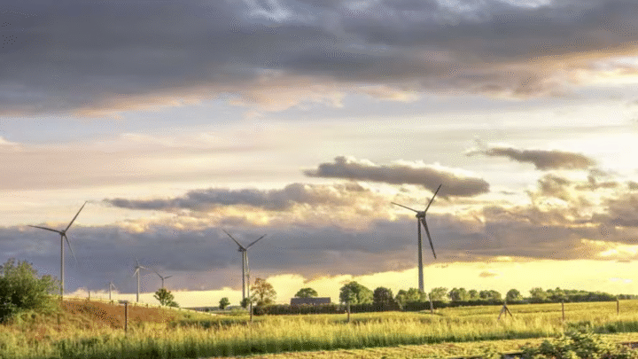 Gestão integrada de energia: o segredo para aumentar o lucro no agro