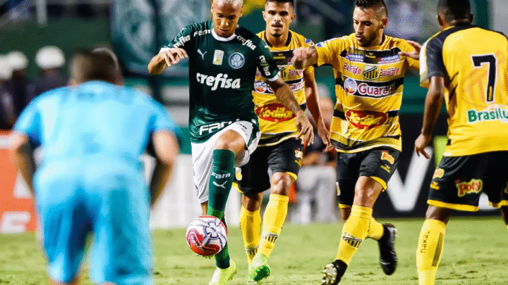 Torcida esgota ingressos da final do Paulistão entre Novorizontino x Palmeiras