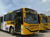 motoristas de ônibus