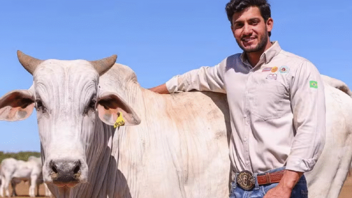 Quem era Guilherme Pedroza, o empresário que morreu no Tocantins