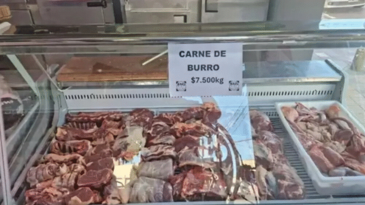 Argentinos consomem carne de burro para enfrentar crise econômica