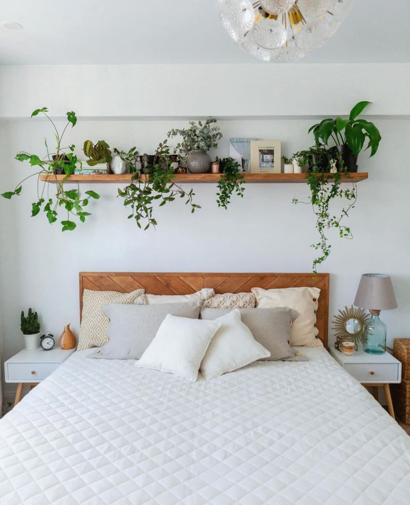 Descubra plantas resistentes ideais para ambientes internos e fáceis de cuidar para quem não tem habilidade.