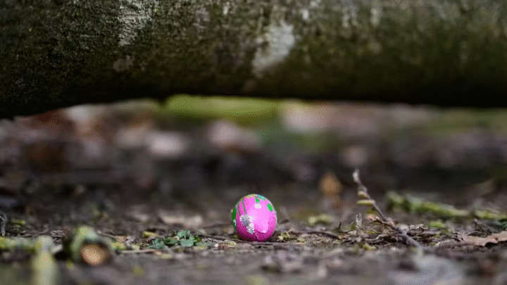 Queda de árvore mata três pessoas durante busca por ovos de Páscoa na Alemanha