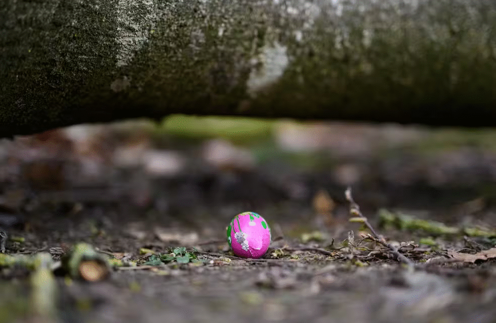 Queda de árvore mata três pessoas durante busca por ovos de Páscoa na Alemanha