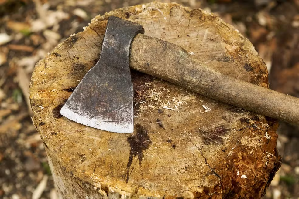 Tragédia familiar no MA: idoso de 67 anos morre após briga com irmão por poda de árvore em Buriti nesta sexta (8). Confira.