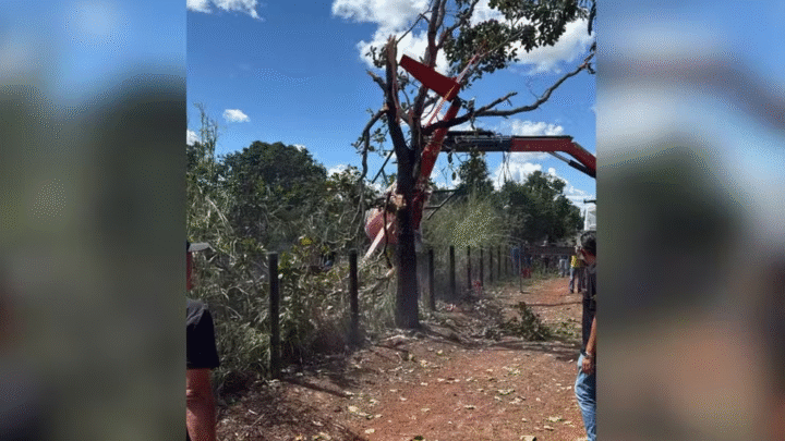 Helicóptero de Juliano cai em fazenda no Tocantins