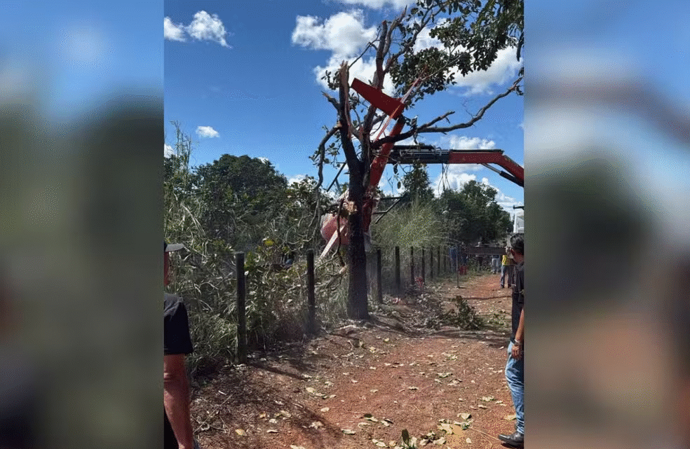 Helicóptero de Juliano cai em fazenda no Tocantins