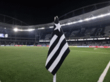 SAF Botafogo