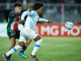 Grêmio x Palestino pela Copa Sul-Americana - Foto: Lucas Uebel/Grêmio/Divulgação