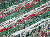 sociedade esportiva palmeiras