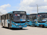 sistema transcol