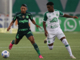 Onde assistir Palmeiras x Chapecoense pela 18ª rodada do Brasileiro - Foto: Cesar Greco