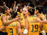 Onde assistir Bélgica x Brasil na Liga das Nações de vôlei - Foto: VNL